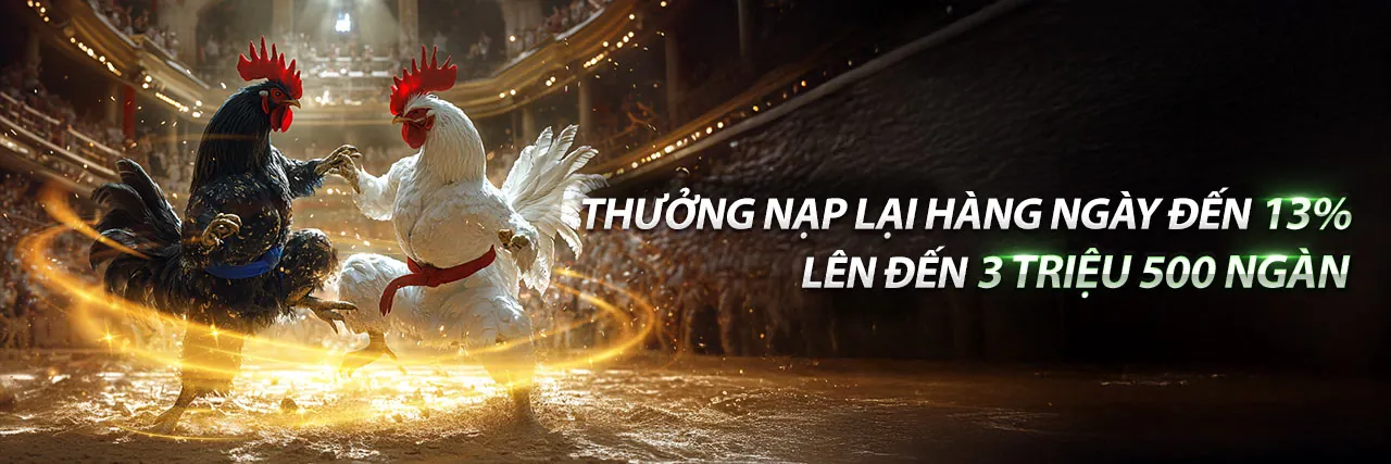 Sòng bạc trực tuyến Netwin App