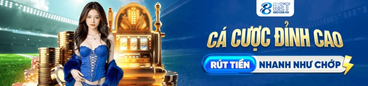 Chính sách quyền riêng tư của Netwin App
