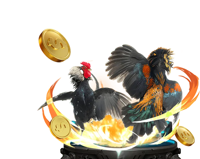 Hoàn trả thể thao và casino Netwin App