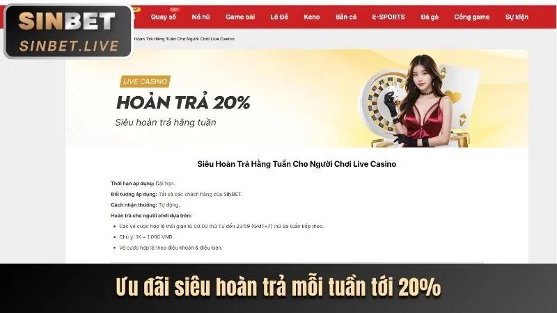 Tổng quan cá cược thể thao